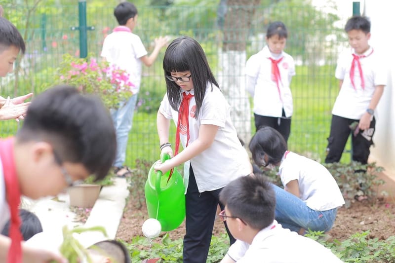 Kỹ năng sống là nội dung quan trọng đối với học sinh tiểu học